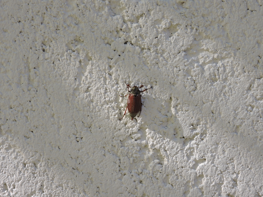 idenynyito_Sorsolasos_paros_teniszversen_Tata_20160416_028.resized